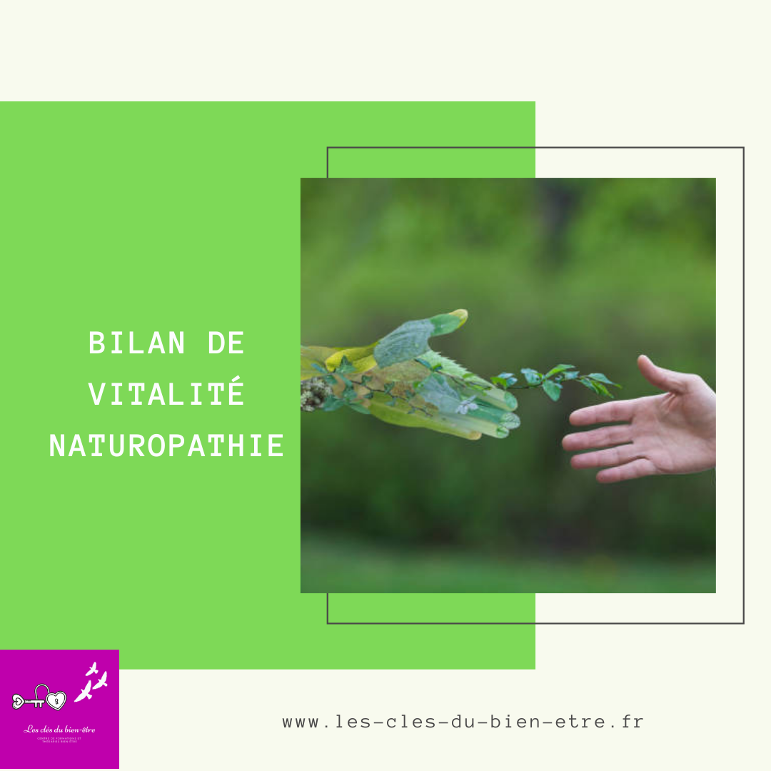 Bilan de vitalité (naturopathie) 2h